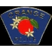 ORANGE, CA POLICE DEPARTMET PATCH PIN